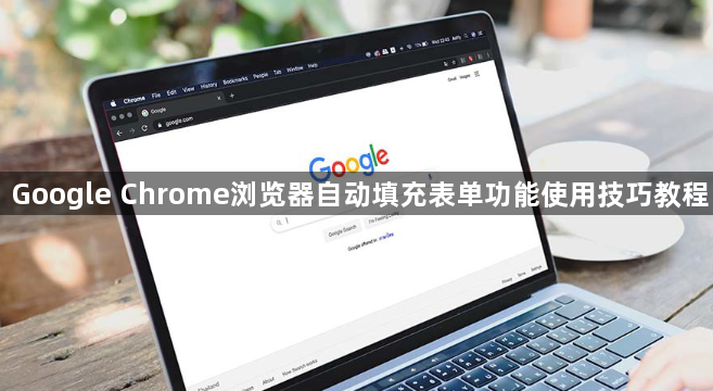 Google Chrome浏览器自动填充表单功能使用技巧教程1