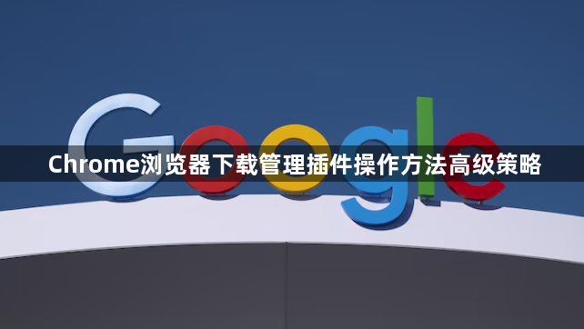 Chrome浏览器下载管理插件操作方法高级策略1