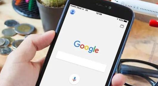 google Chrome浏览器下载安装及页面翻译异常处理