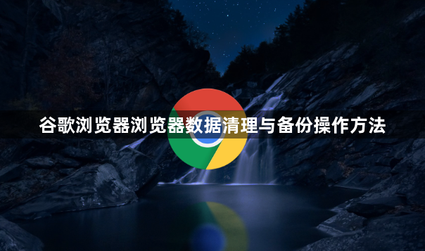 谷歌浏览器浏览器数据清理与备份操作方法1