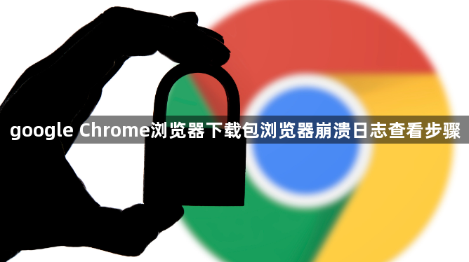 google Chrome浏览器下载包浏览器崩溃日志查看步骤1