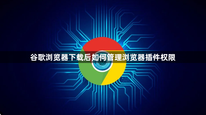 谷歌浏览器下载后如何管理浏览器插件权限1
