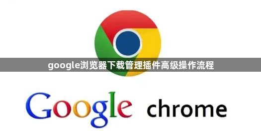 google浏览器下载管理插件高级操作流程1
