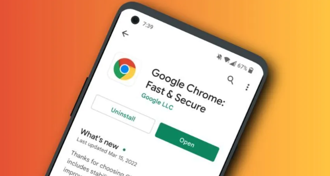 google Chrome浏览器网页动画效果优化技巧及应用教程
