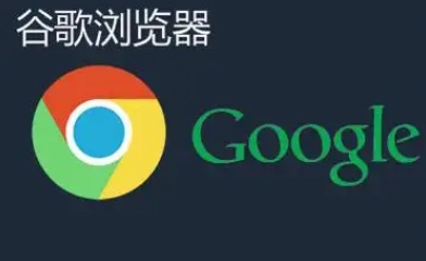 谷歌浏览器轻量版下载安装包操作流程详细指南