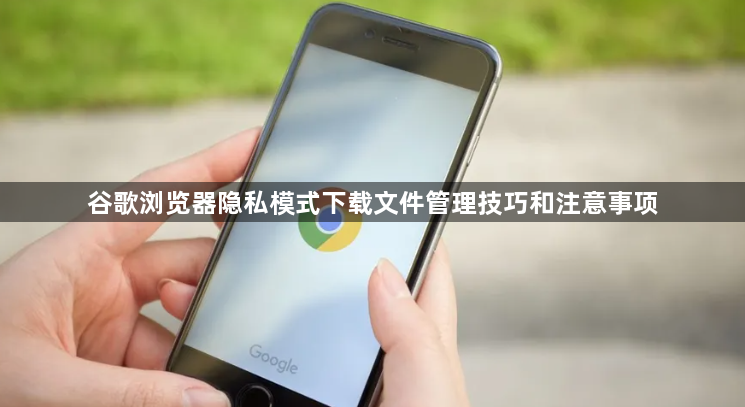 谷歌浏览器隐私模式下载文件管理技巧和注意事项1