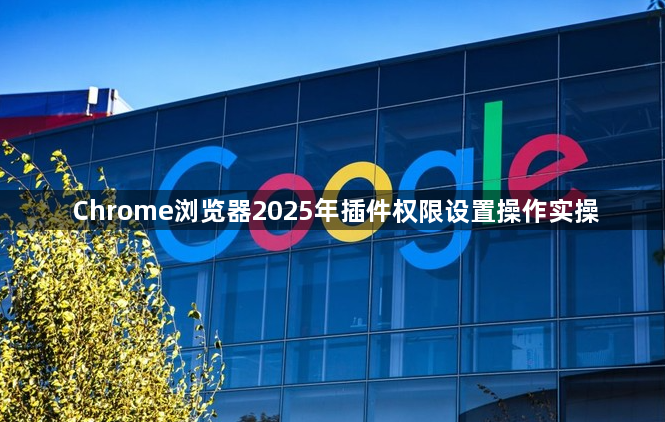 Chrome浏览器2025年插件权限设置操作实操1