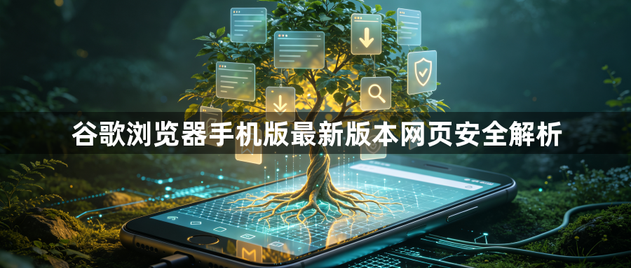 谷歌浏览器手机版最新版本网页安全解析1